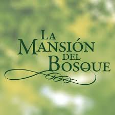 Logo Cliente D
